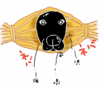 �[�������N�������